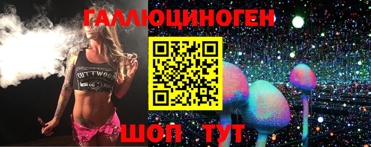 Галлюциногенные грибы Psilocybe Пушкино