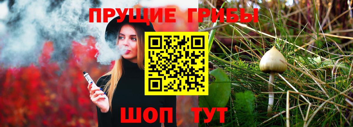 Галлюциногенные грибы мицелий  Псилоцибиновые грибы Magic Shrooms  Пушкино  Вход с VPN 